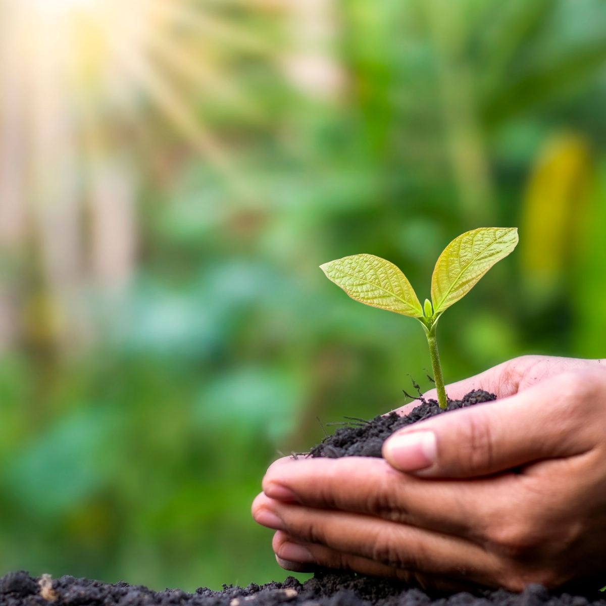 financement rénovation énergétique étude de projet travaux