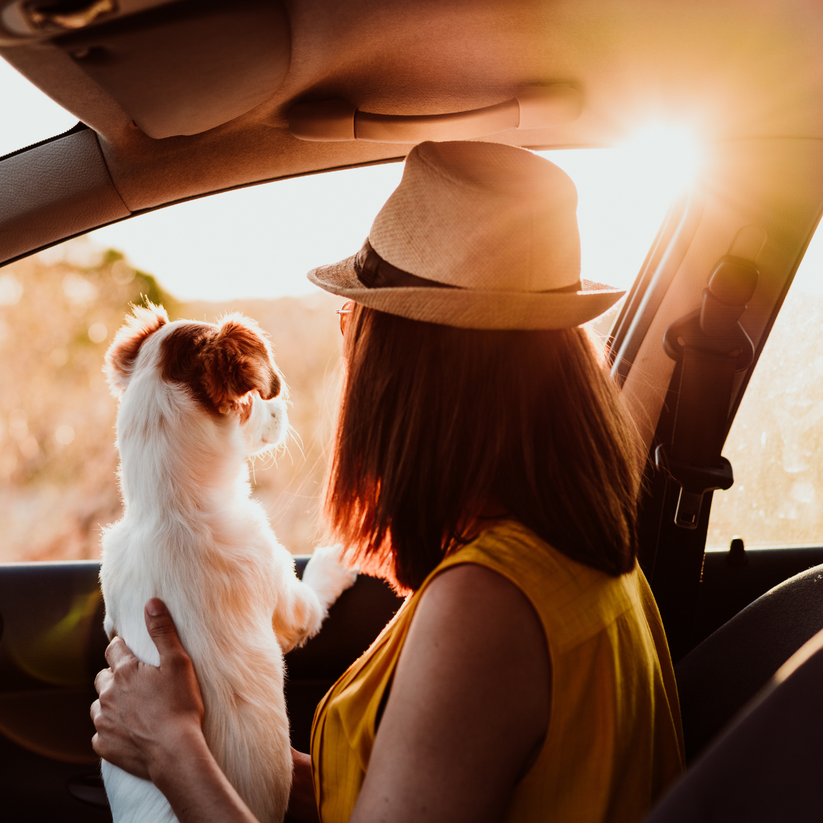 achat voiture neuve à prix négocié Made in Courtage
