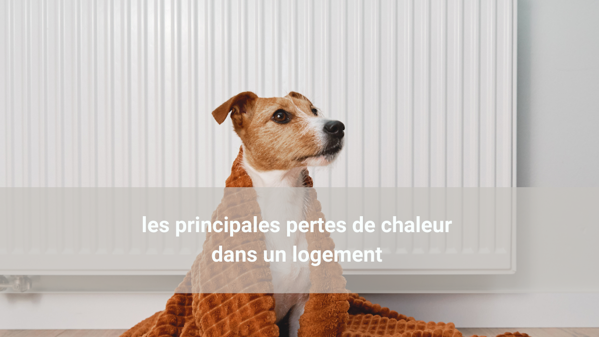 Principales pertes de chaleur dans un logement : toiture, murs, fenêtres et planchers